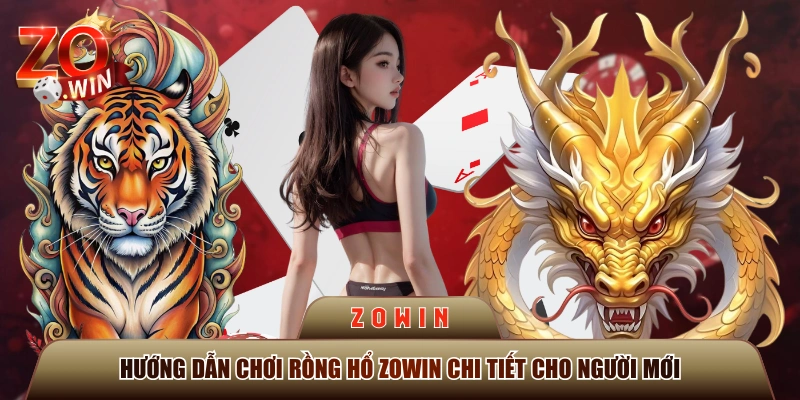 Hướng Dẫn Chơi Rồng Hổ ZOWIN Chi Tiết Cho Người Mới